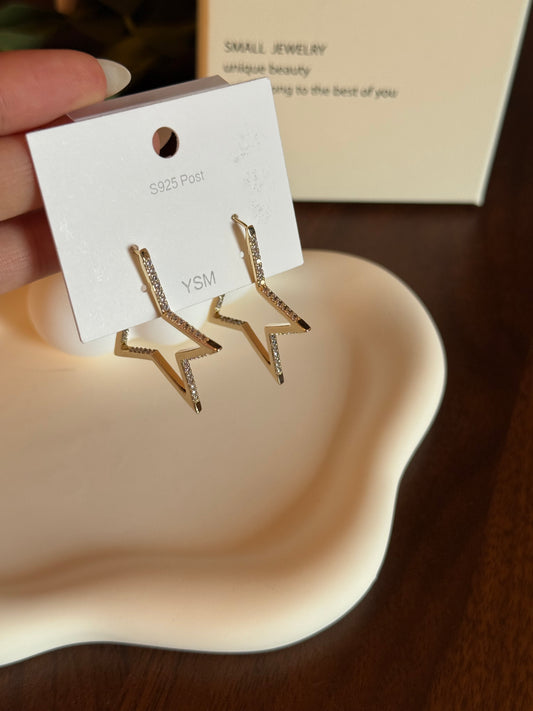 LUM SILVER EARRINGS #1